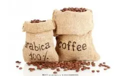 辛辣刺激的也门精品咖啡豆风味口感香气特征描述简介