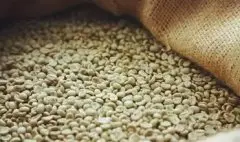 明亮多汁的耶加雪菲精品咖啡豆种植情况地理位置气候海拔简介