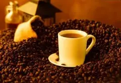 纯正芳香的加拉帕戈斯精品咖啡豆风味口感香气特征描述简介