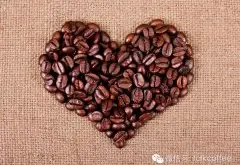 咖啡控冷知识 你听过宾士豆吗？