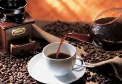 回韵持久的埃斯美拉达庄园精品咖啡豆起源发展历史文化简介