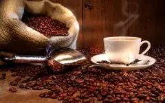 清新明亮的科契尔庄园精品咖啡豆品种种植市场价格简介