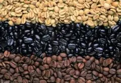 口感狂野的夏奇索产区精品咖啡豆品种种植市场价格简介