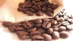 风味温和的银山庄园精品咖啡豆起源发展历史文化简介