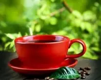 越醇越滑的芙茵庄园精品咖啡豆风味口感香气特征描述简介