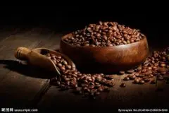 优良生长环境的天意庄园精品咖啡豆起源发展历史文化简介