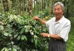 89岁老农刘佳馆 自栽自烘成咖啡达人