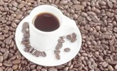 均衡清爽的哈森达咖啡庄园精品咖啡豆品种种植市场价格简介
