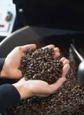 巴拿马巴鲁火山丘比特含30%瑰夏豆精品咖啡豆起源发展历史文化简