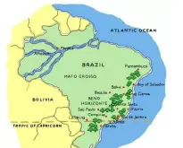 巴西米纳斯州HIU微批次春天庄园水洗黄卡杜艾风味口感香气特征描