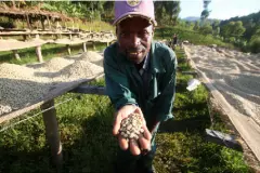 布隆迪Burundi卡扬札省日晒波旁种精品咖啡豆起源发展历史文化简
