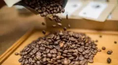 巴西进口单品可以在线看av的网站 新鲜现磨下单自家烘焙可磨咖啡粉