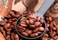 巴拿马火石庄园蜜处理卡杜艾SHB咖啡豆分级、价格、生豆及烘焙度