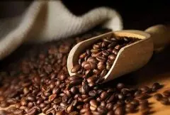 云南小粒咖啡花果山保山铁皮卡精品咖啡豆分级、价格、生豆及烘焙