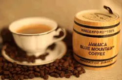 蓝山咖啡豆什么牌子好，蓝山咖啡90% 以上都销往日本