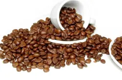 也门摩卡咖啡豆的介绍，也门摩卡咖啡豆的特点