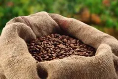 巴布亚新几内亚咖啡产区介绍 巴布亚新几内亚咖啡怎么冲泡