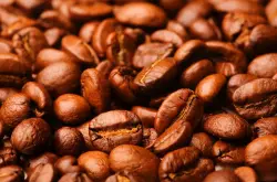 阿拉比卡咖啡豆与罗布斯塔咖啡豆的区别