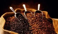 缅甸今年将向中国出口100吨咖啡豆