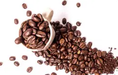 巴拿马咖啡的精品之路与烘焙方式 产区特色