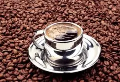 牙买加咖啡的品种有哪些 如何鉴别真假蓝山咖啡豆