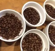尼加拉瓜天意庄园咖啡豆风味口感品种产区介绍