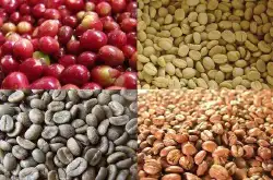 巴西圣多斯产区咖啡种类产量 红波旁品种咖啡豆风味特点口感描述