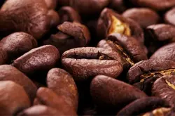 云南咖啡庄园,云南咖啡豆种植