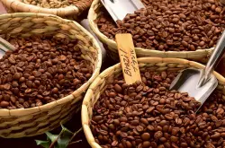 巴厘岛咖啡介绍，巴厘岛的罗百斯特种咖啡