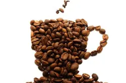 肯尼亚的咖啡特性，肯尼亚咖啡现状