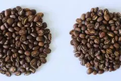 多米尼加咖啡豆种植信息产区分布种植历史