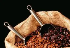 萨尔瓦多喜马拉雅庄园单品豆咖啡豆风味描述种植信息