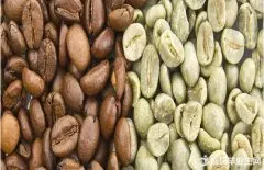 卡杜艾单品豆咖啡豆品种变种介绍风味描述种植区域