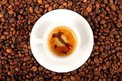 技术 | 手冲咖啡咖啡，“焖蒸”是关键