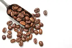 云南咖啡种植园，云南咖啡豆种植地