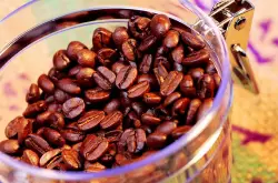 耶家雪菲维娜果咖啡豆系列介绍