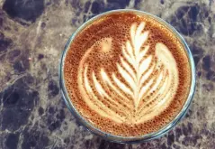 巴拿马艾丽达庄园单品咖啡怎么样 艾丽达庄园单品咖啡豆多少种风
