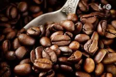 巴西皇后庄园咖啡产区介绍 皇后庄园黄波旁咖啡豆海拔多少