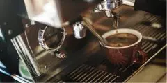 巴拿马詹森庄园咖啡豆风味描述 詹森庄园咖啡怎么喝冲
