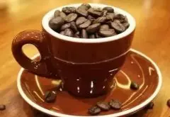 哥斯达黎加火凤凰庄园单品咖啡怎么样 庄园单品咖啡豆多少种风味