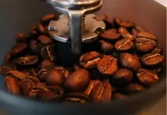 牙买加瓦伦福德庄园单品咖啡怎么样 庄园单品咖啡豆多少种风味