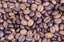 牙买加的咖啡品种介绍