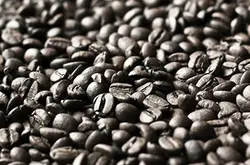 肯德基现磨咖啡百分之百阿拉比卡咖啡豆简介