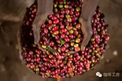 非洲精品咖啡产区介绍——呕心沥血整理
