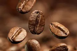 肯尼亚咖啡豆的气候和地理介绍