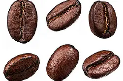 哥斯达黎咖啡豆是怎么处理的？