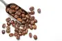 哥斯达黎加塔拉珠咖啡豆品种 瑰夏咖啡豆卡杜拉卡杜艾咖啡豆区别