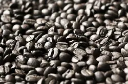 瓜地马拉微微特南果波旁咖啡豆介绍