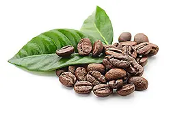 阿拉比卡咖啡介绍，阿拉比卡咖啡豆种类