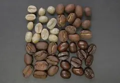 巴西咖啡单品豆分级、价格、生豆及烘焙曲线